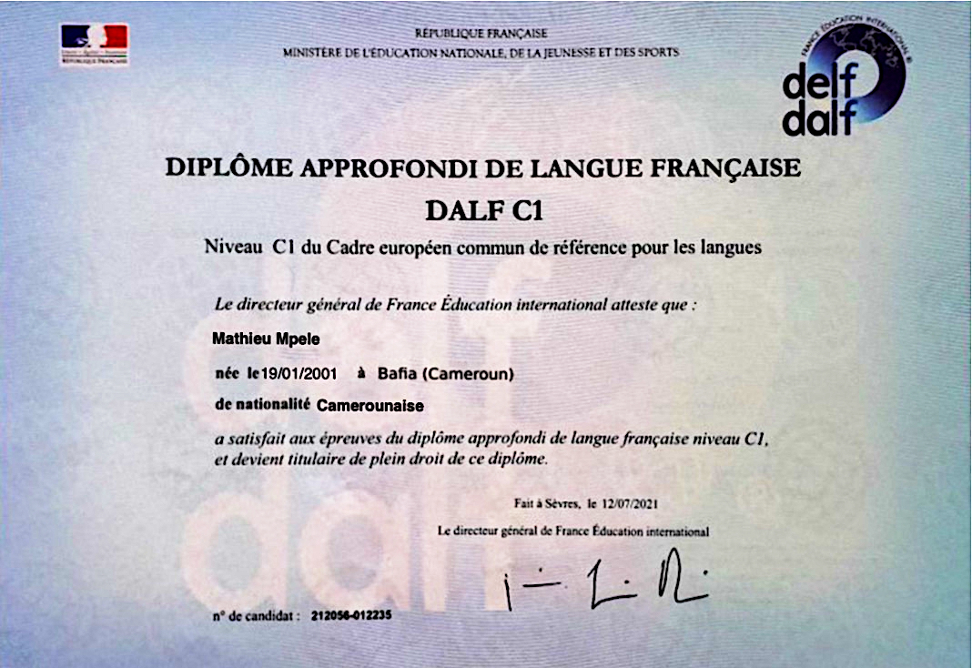 Certificate | LEVITIN SCHOOL