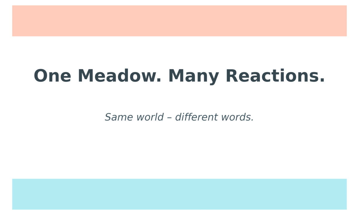 One Meadow. Many Reactions