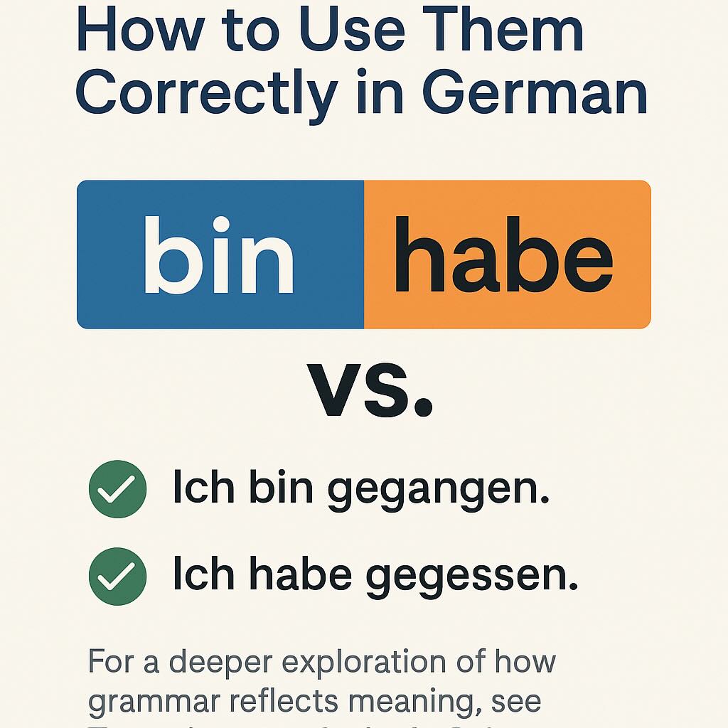 Sein vs. Haben: How to Use Them Correctly in German