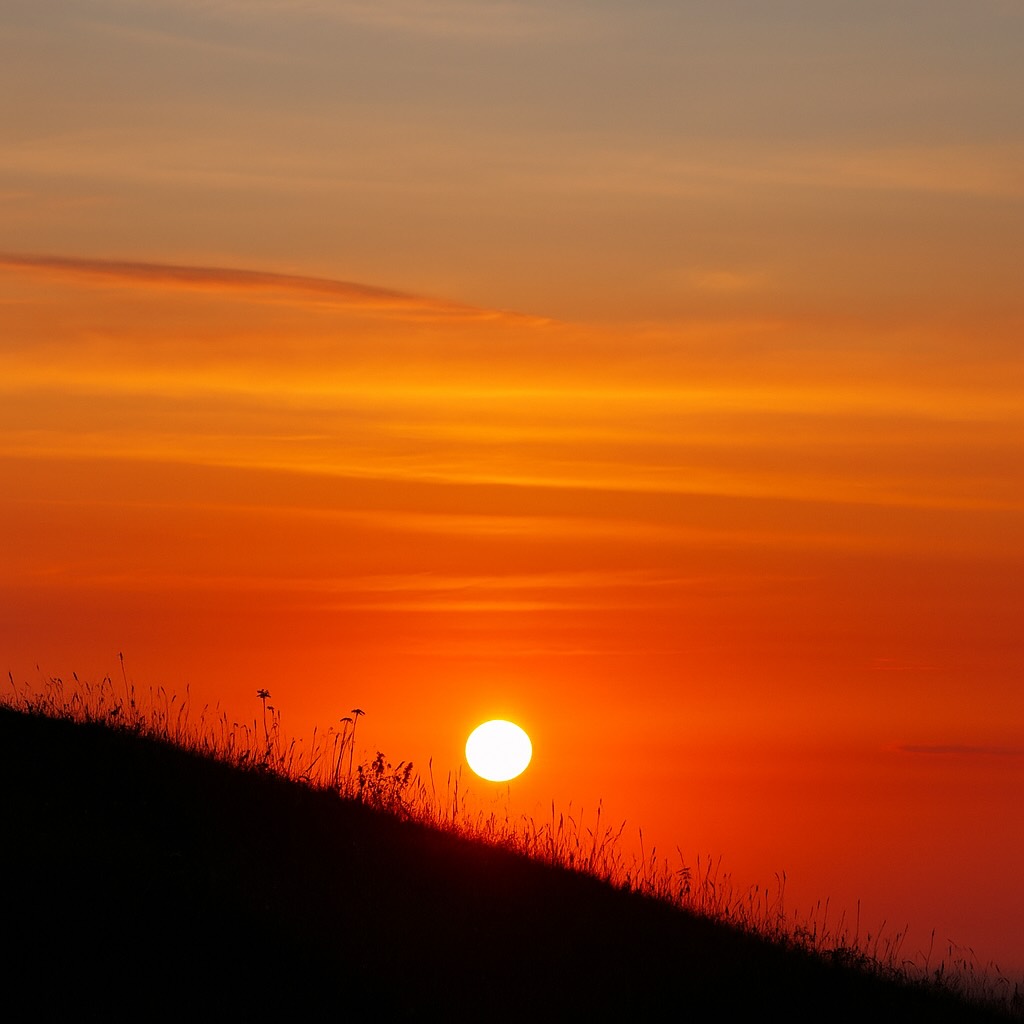 The Language I Live: Не лети так, життє