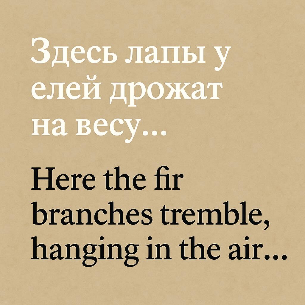 The Same Words — A Different Life. Why Voice Matters More Than Translation